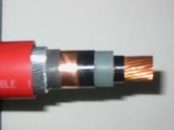 BS6622 - 6.35/11kV单芯AWA电缆
